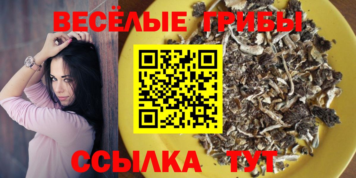 Гудермес  Псилоцибиновые грибы Cubensis  Вход с VPN 