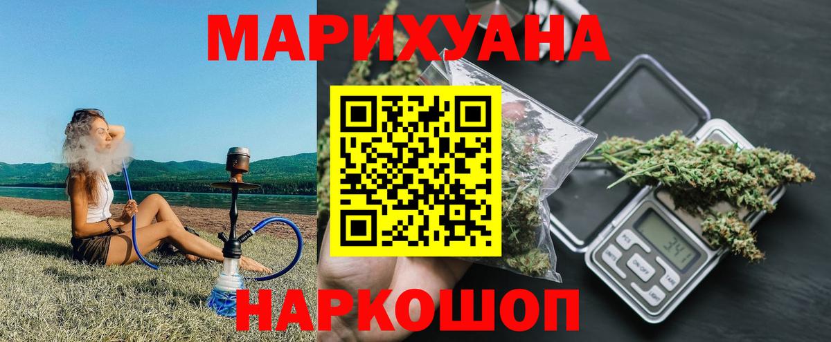 Канабис сатива Гудермес